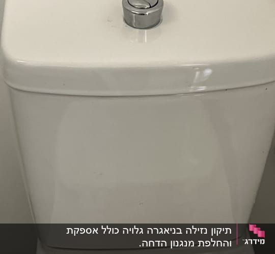 ניאגרה גלויה מחרס עם לחצן הדחה כרום